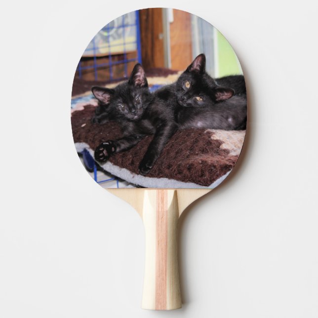 Pala De Ping Pong Gatitos (Anverso)