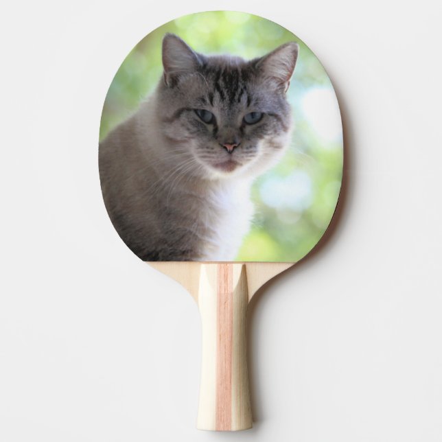 Pala De Ping Pong Gato (Anverso)