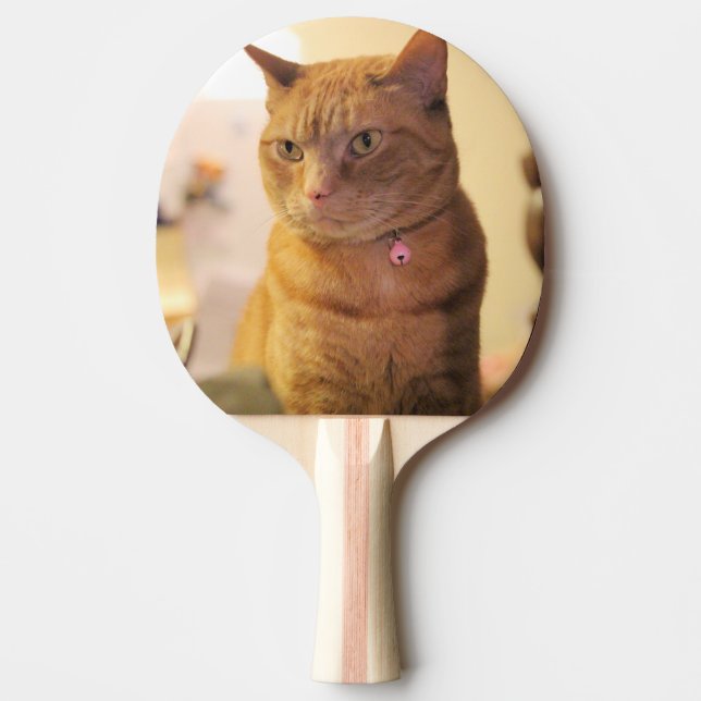 Pala De Ping Pong Gato (Anverso)