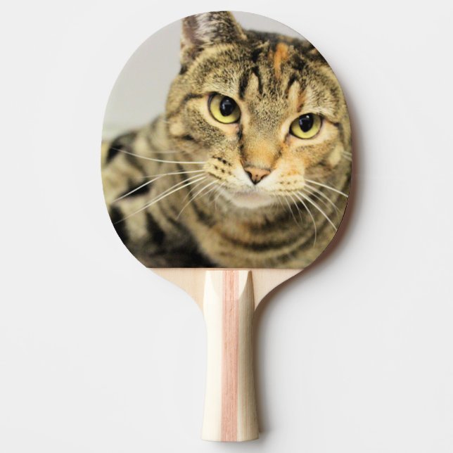 Pala De Ping Pong Gato (Anverso)