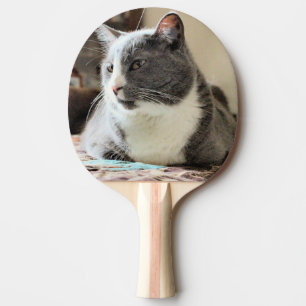 Pala De Ping Pong Gato