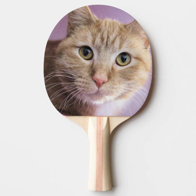 Pala De Ping Pong Gato (Anverso)