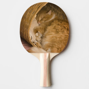 Pala De Ping Pong Gato atigrado naranja durmiendo en cesto