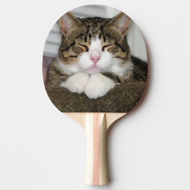Pala De Ping Pong Gato de corte (Anverso)