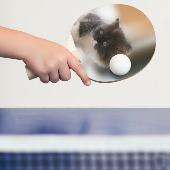 Pala De Ping Pong Gato de corte (Fluffy Calico Kitten Photo Cute Ping Pong Paddle
)