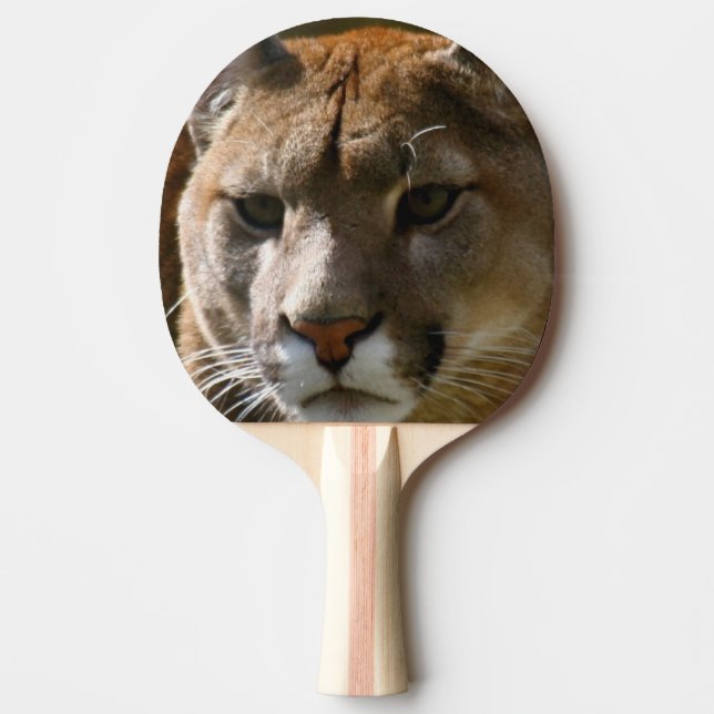 Pala De Ping Pong Gato del puma (Anverso)