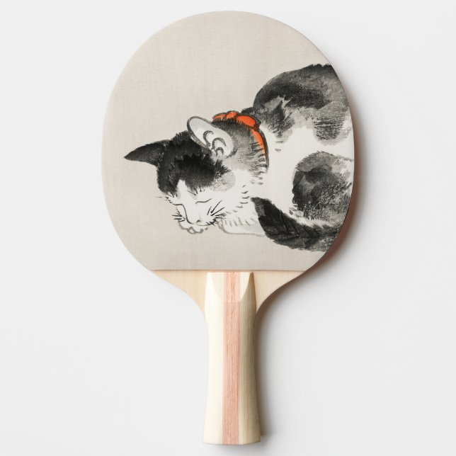 Pala De Ping Pong Gato Durmiendo (Anverso)