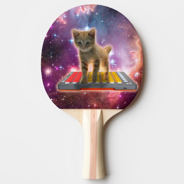 Pala De Ping Pong Gato en sintetizadores en el espacio (Anverso)