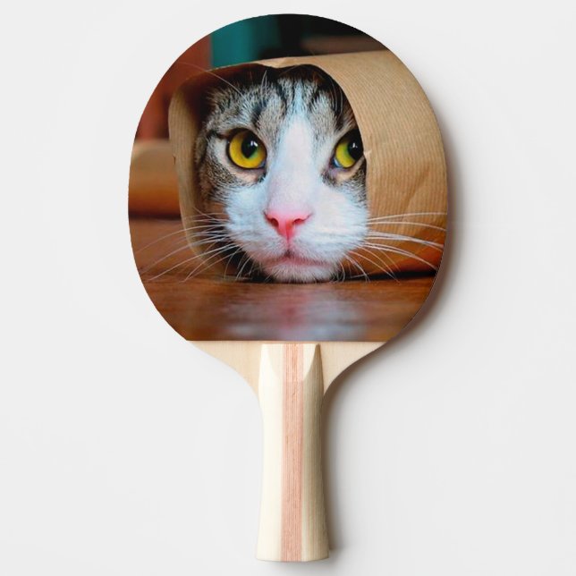 Pala De Ping Pong Gato envuelto en papel marrón (Anverso)