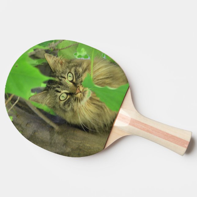 Pala De Ping Pong Gato Maine Coon en árbol (Lateral)