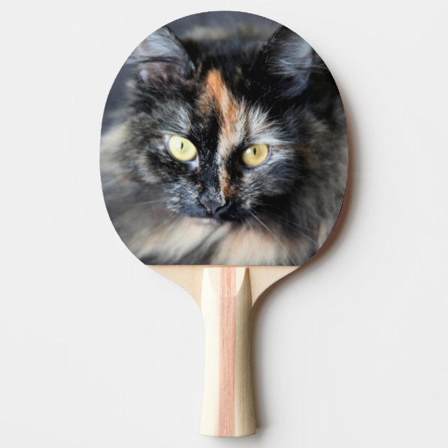 Pala De Ping Pong Gato Siberiano (Anverso)