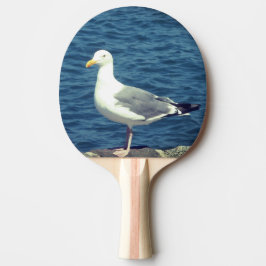 Pala De Ping Pong Gaviota En La Bahía