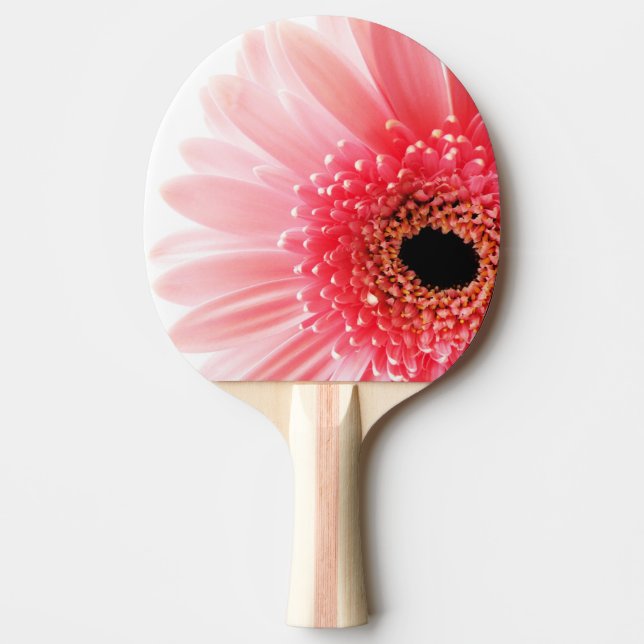 Pala De Ping Pong Gerbera Daisy Poster (Anverso)