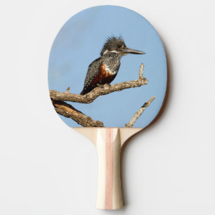 Pala De Ping Pong Gigante Kingfisher