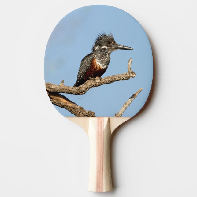 Pala De Ping Pong Gigante Kingfisher (Reverso)