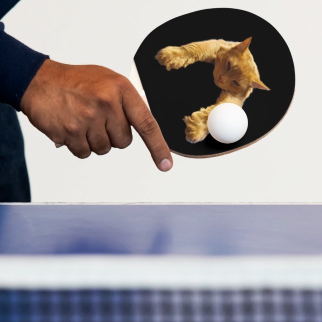 Pala De Ping Pong Ginger Lazy Cat, Ping Pong Paddle (in situ)