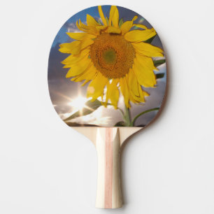 Pala De Ping Pong Girasol híbrido soplando en el viento al atardecer