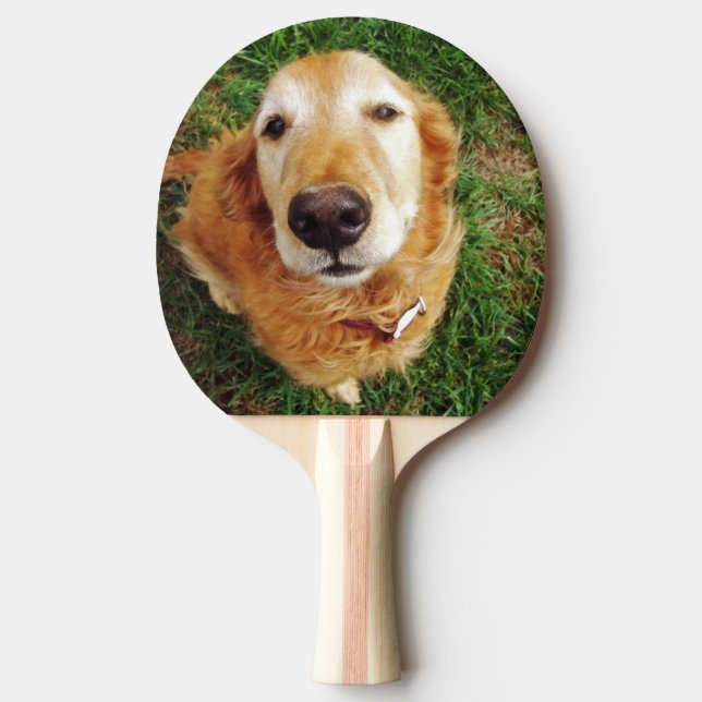 Pala De Ping Pong Golden Retriever (Anverso)