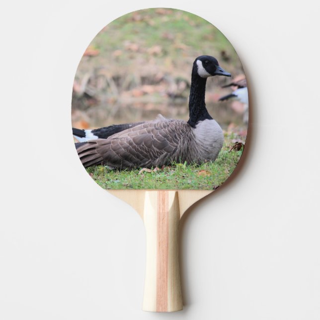 Pala De Ping Pong Goose Ping Pong Paddle (Anverso)