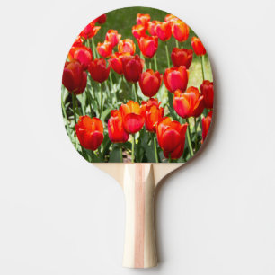 Pala De Ping Pong Gran campo de tulipanes rojos