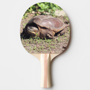 Pala De Ping Pong Gran chico