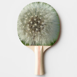 Pala De Ping Pong Gran Diente de León Blanco