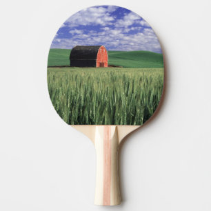 Pala De Ping Pong Granero rojo en campo de trigo y cebada en Whitman
