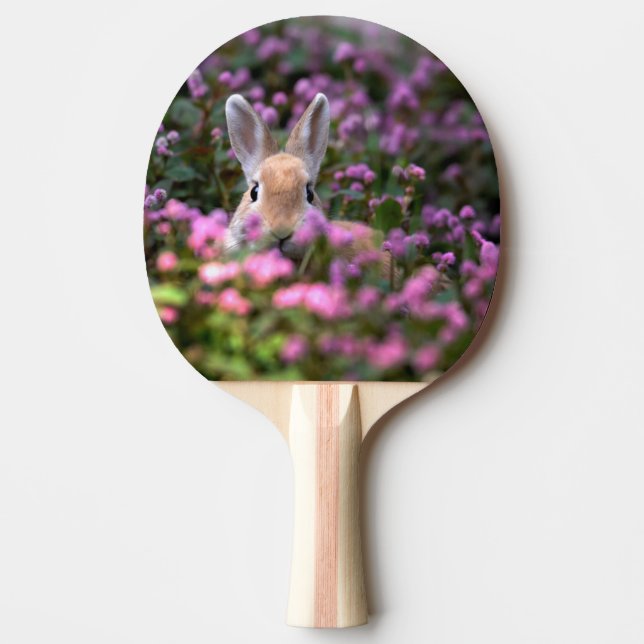 Pala De Ping Pong Granja de conejos (Anverso)