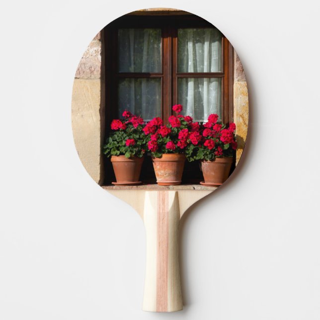 Pala De Ping Pong Granjas de flores en la aldea (Anverso)