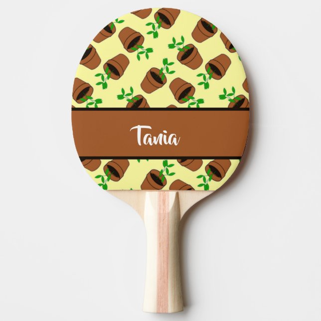 Pala De Ping Pong Green plant in terracotta pot on yellow (Anverso)