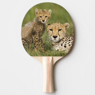 Pala De Ping Pong Guepardo, Acinonyx jubatus, con cría