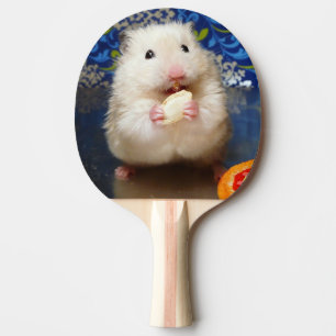 Pala De Ping Pong Hámster sirio mullido Kokolinka que come una