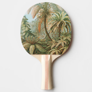 Pala De Ping Pong Helechos, Filicinae Laubfarne por Ernst Haeckel