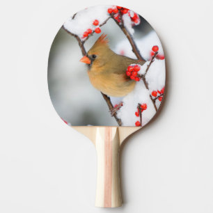 Pala De Ping Pong hembra de cardenal norteño en Common Winterberry