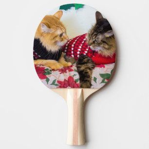 Pala De Ping Pong Hermanos