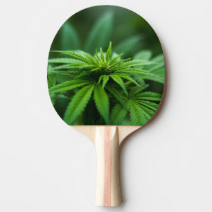 Pala De Ping Pong Hermosa hierba