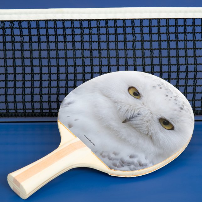 Pala De Ping Pong Hermosa, soñadora y serena lechuza (in situ)