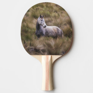 Pala De Ping Pong Hermoso caballo de color gris
