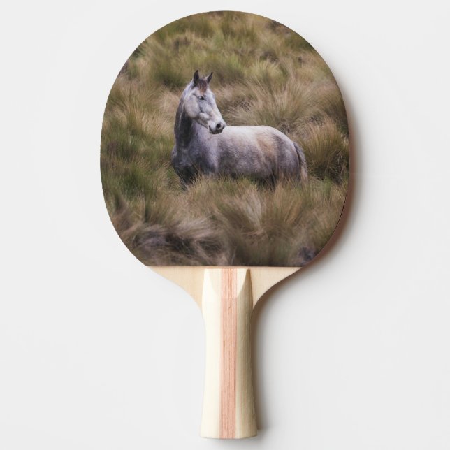 Pala De Ping Pong Hermoso caballo de color gris (Anverso)