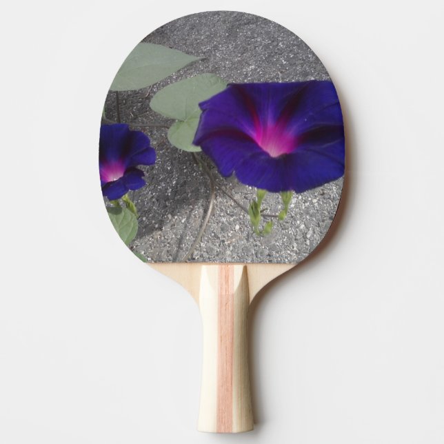 Pala De Ping Pong Hermoso Ping Pong Paddle (Anverso)