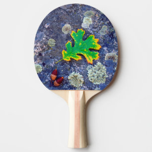 Pala De Ping Pong Hoja de roble y bellotas sobre una roca cubierta d