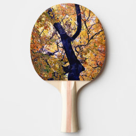 Pala De Ping Pong Hojas amarillas y naranjas