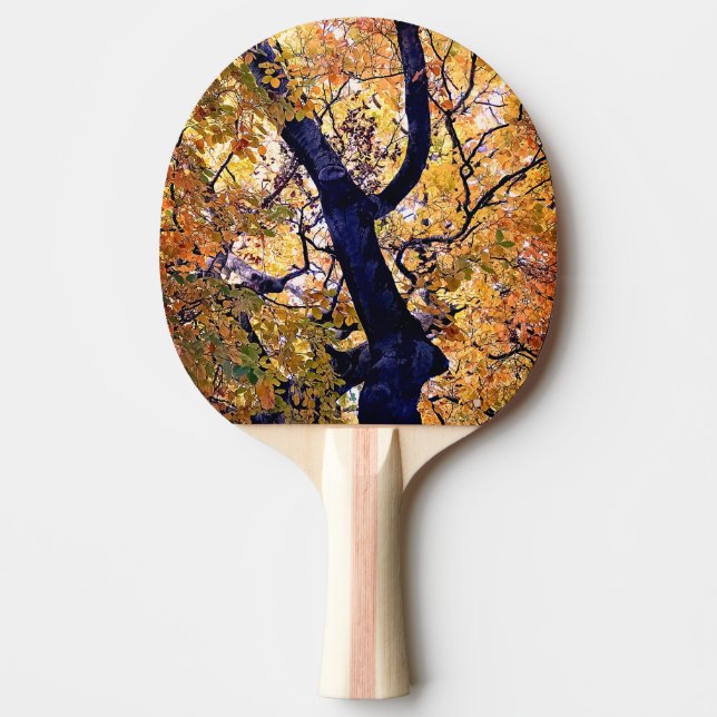 Pala De Ping Pong Hojas amarillas y naranjas (Anverso)