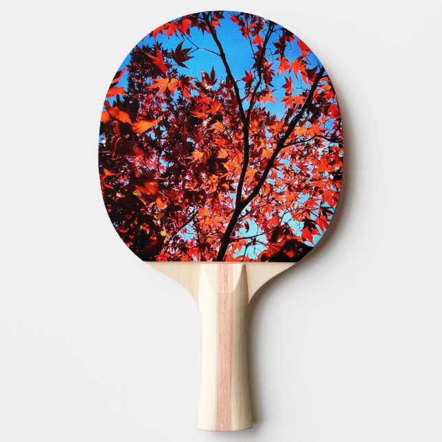 Pala De Ping Pong Hojas de otoño (Anverso)