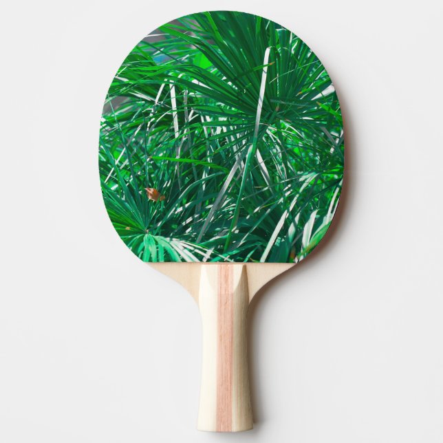 Pala De Ping Pong Hojas de palmera verdes (Anverso)