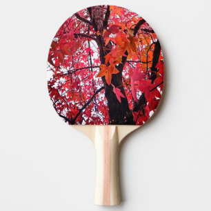 Pala De Ping Pong Hojas rosadas