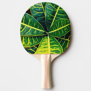 Pala De Ping Pong Hojas verdes
