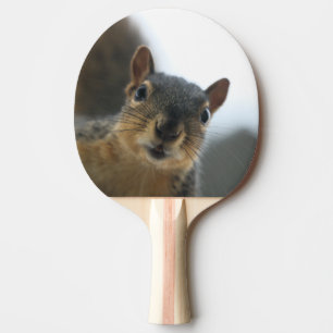 Pala De Ping Pong Hola.