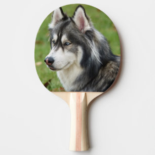 Pala De Ping Pong Husky