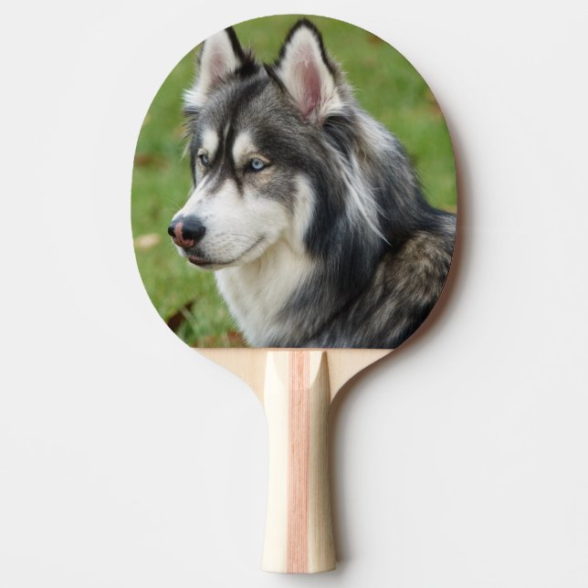 Pala De Ping Pong Husky (Anverso)